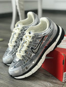 NIKE P6000✅